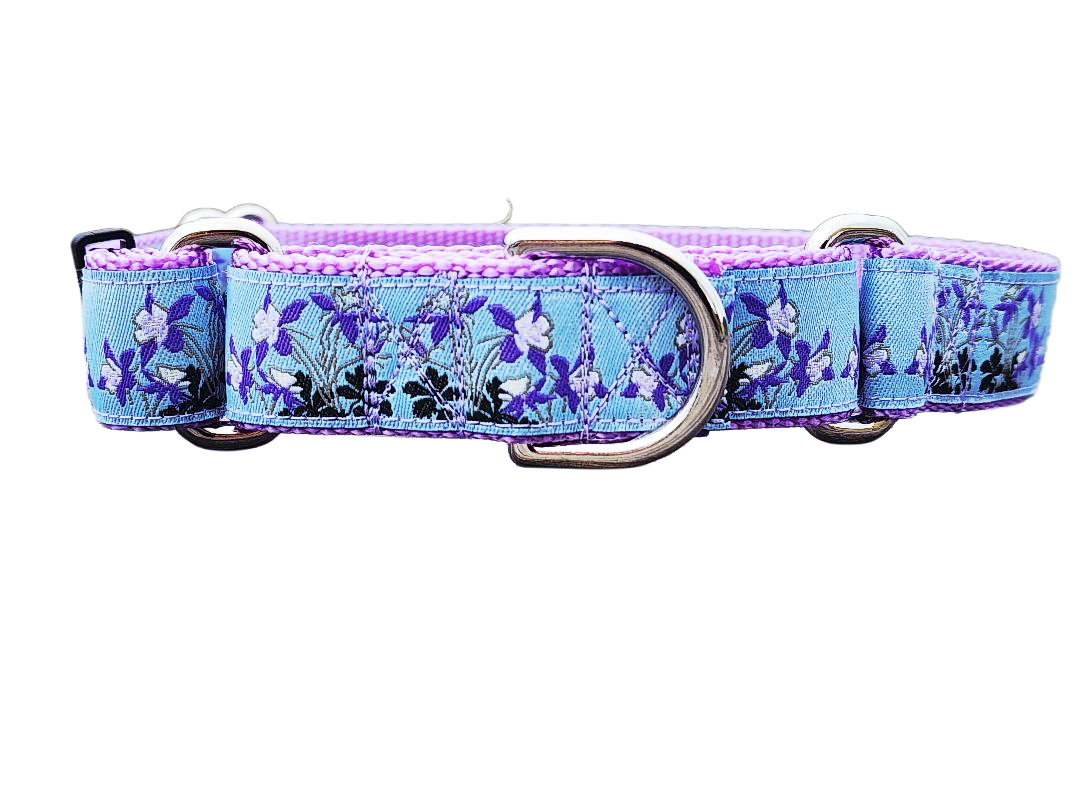 1" Columbine Colorado Dog Martingale Collar