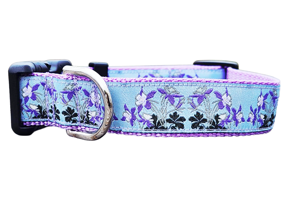 1" Columbine Colorado Dog Collar or Leash