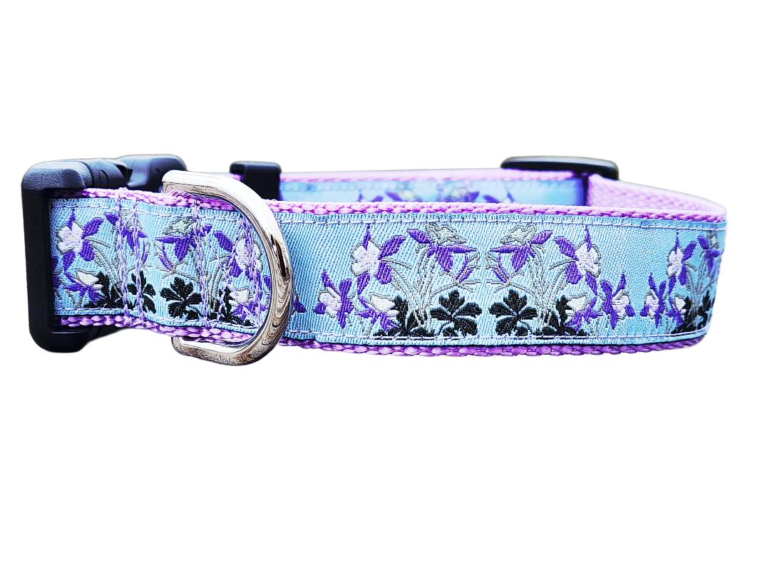 1" Columbine Colorado Dog Collar or Leash