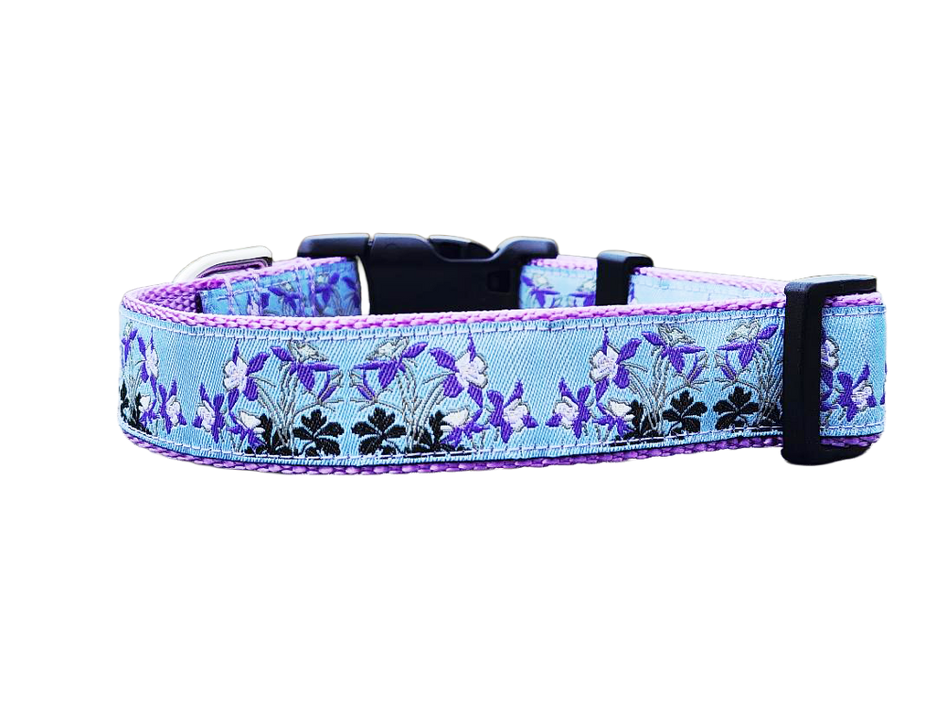 1" Columbine Colorado Dog Collar or Leash