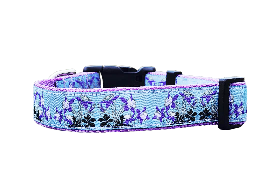 1" Columbine Colorado Dog Collar or Leash
