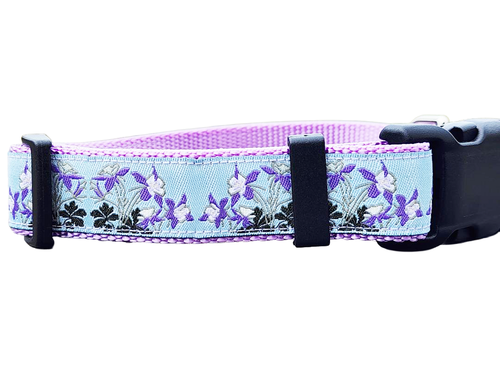1" Columbine Colorado Dog Collar or Leash