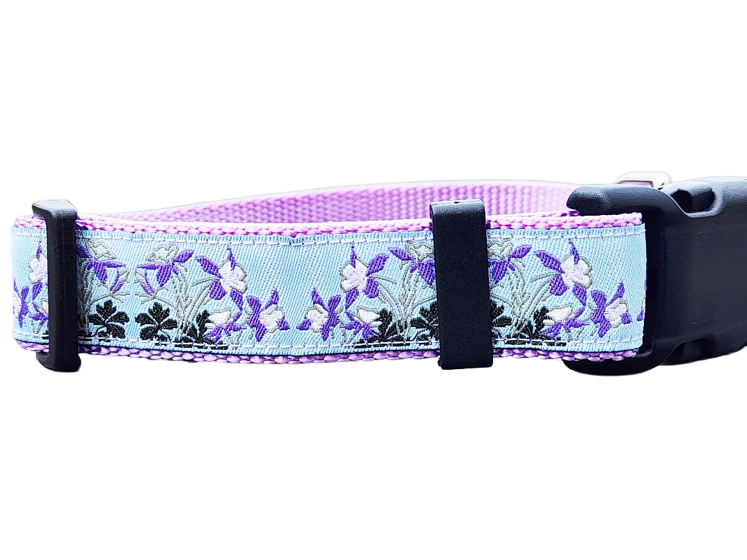 1" Columbine Colorado Dog Collar or Leash