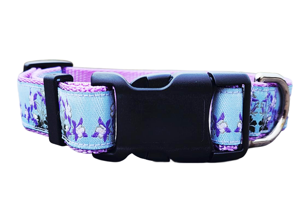 1" Columbine Colorado Dog Collar or Leash