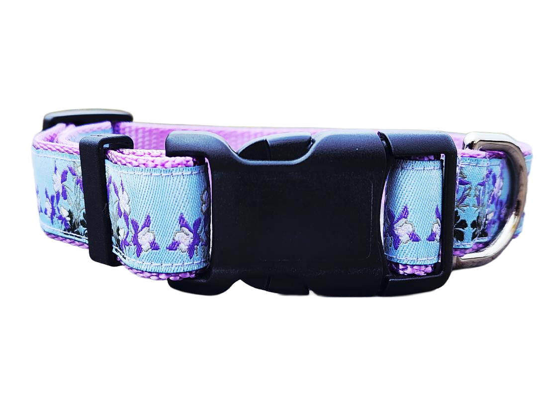 1" Columbine Colorado Dog Collar or Leash