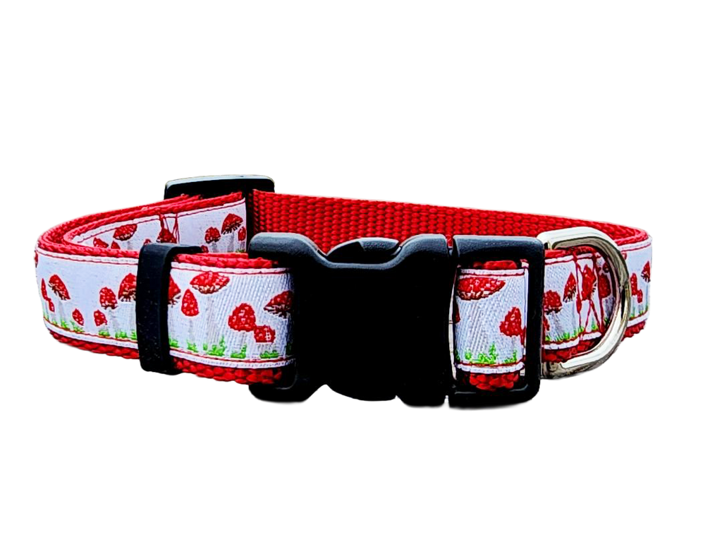 1" Red Mushroom Dog Collar or Leash