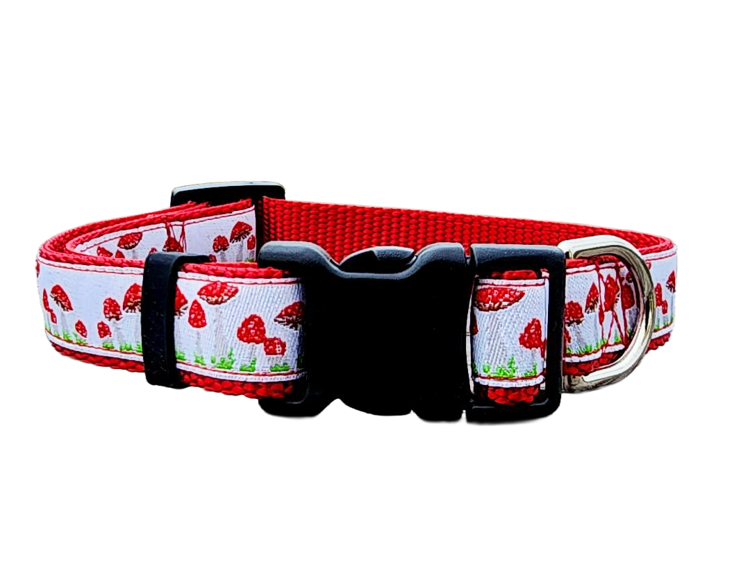 1" Red Mushroom Dog Collar or Leash
