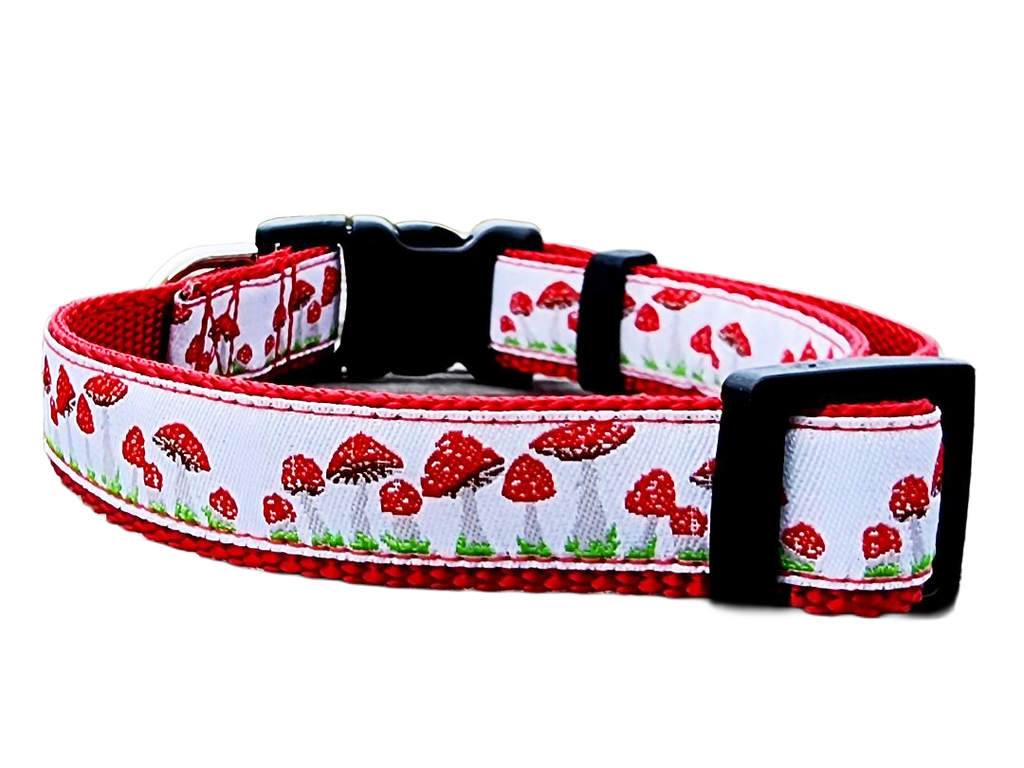 1" Red Mushroom Dog Collar or Leash