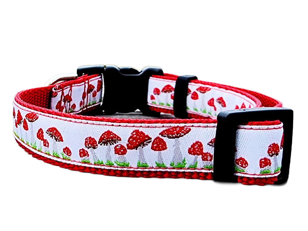 1" Red Mushroom Dog Collar or Leash