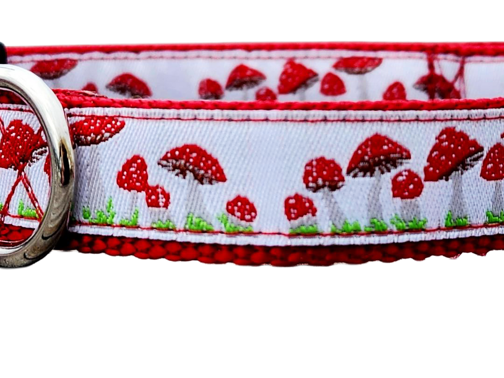 1" Red Mushroom Dog Collar or Leash
