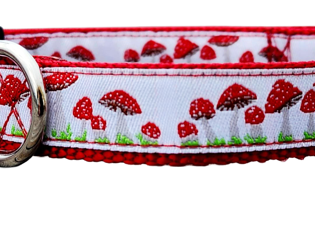 1" Red Mushroom Dog Collar or Leash